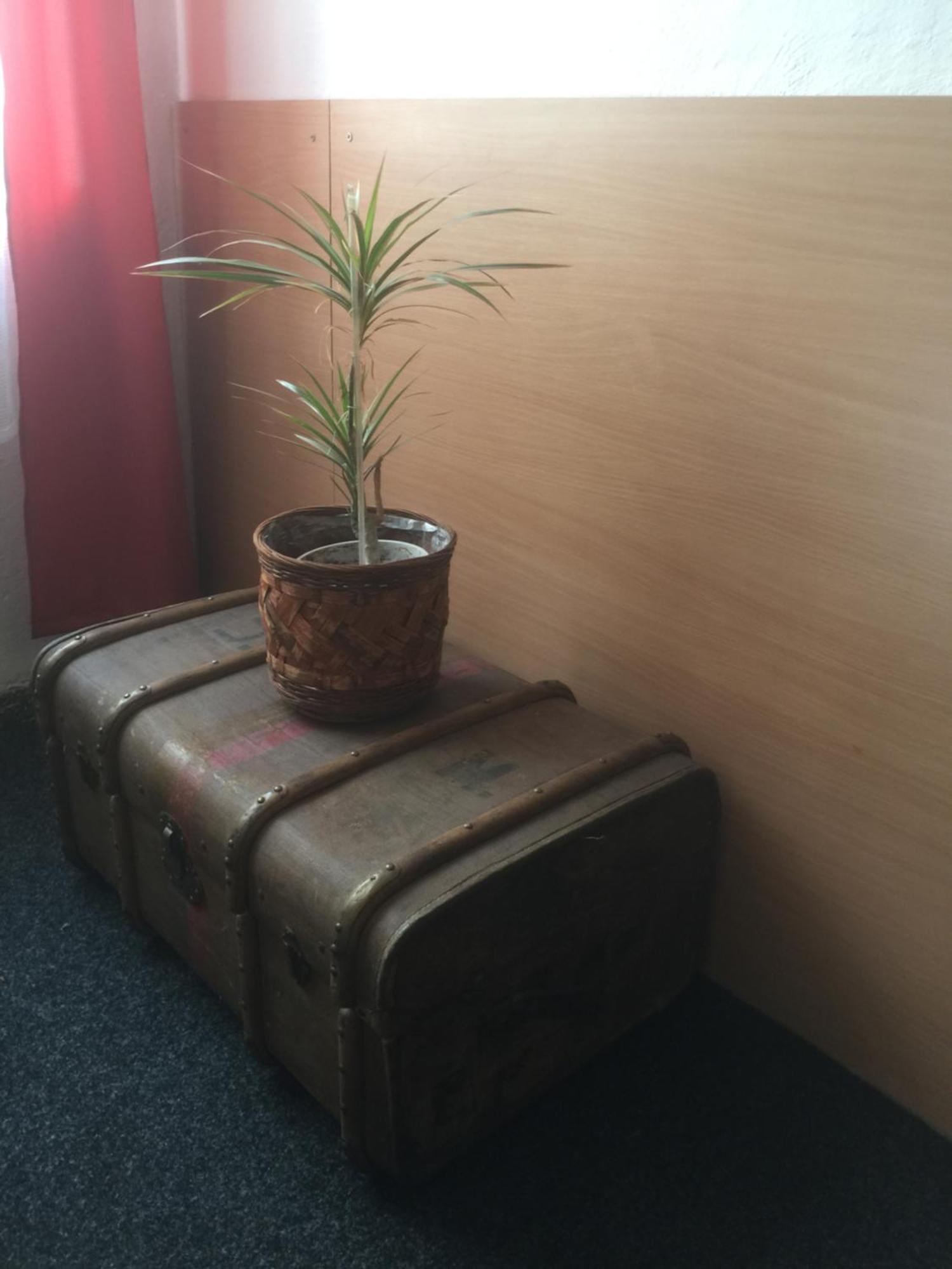 Hotel Dvorak Chrast 外观 照片